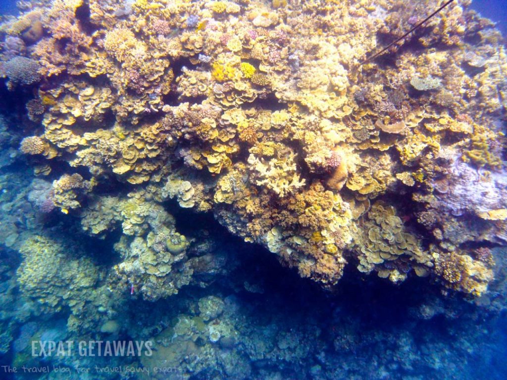 Great visibility! This was taken at the surface looking down on the bommie we were about to dive. 