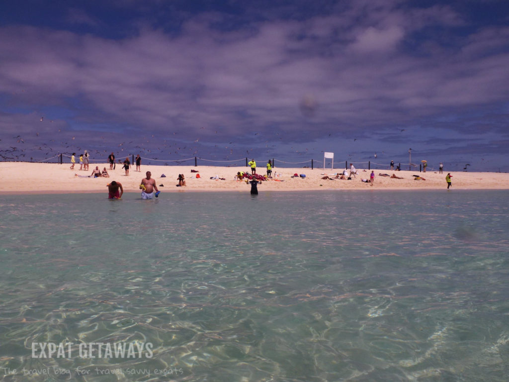 Michaelmas Cay... A beautiful beach and important breeding ground for sea birds